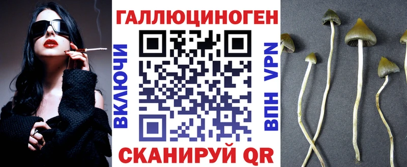 Псилоцибиновые грибы MAGIC MUSHROOMS  где купить наркоту  Мыски 